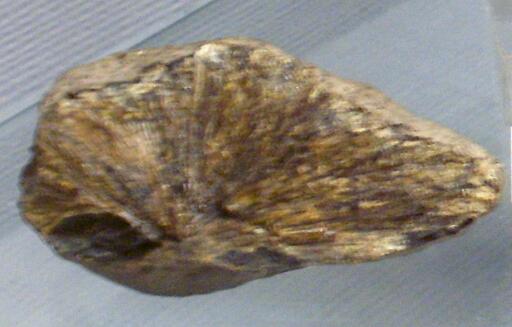 photo of a small brown rock of Satterlite