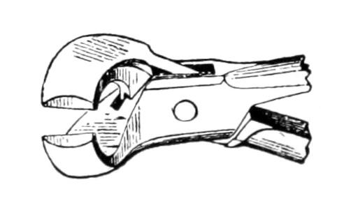 illustration of the cutting part of Satterlee's Angular Bone Cutting Forceps